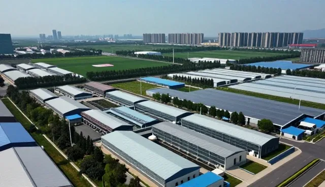 提升生活品质：常见健康问题处理方法解析